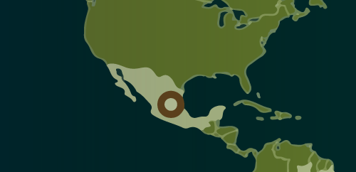 Aleris México