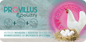nutrição para poedeiras produção de ovos cascas mais fortes e limpas aleris provillus