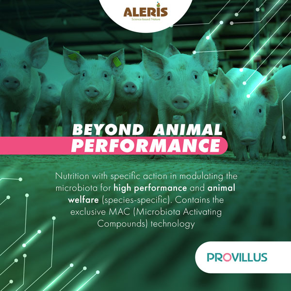 provillus 4pig natural pig nutrition