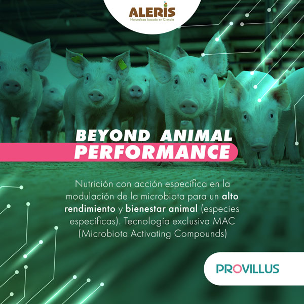 provillus 4pig nutrición natural para cerdos