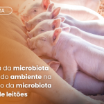 La influencia de la microbiota materna y el medio ambiente en la composición de la microbiota intestinal de los lechones