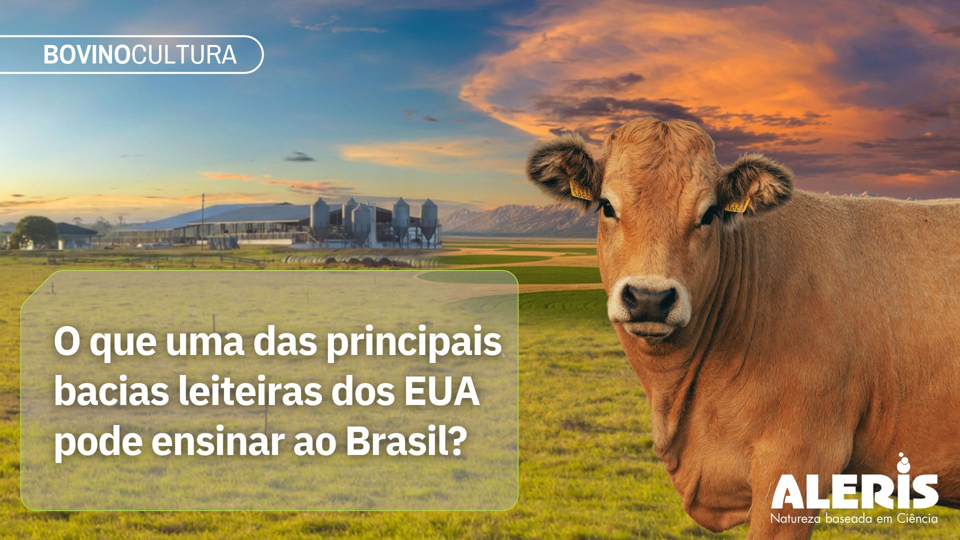 O que uma das principais bacias leiteiras dos EUA tem a ensinar ao Brasil?