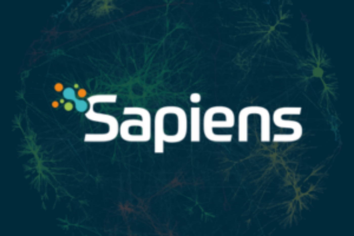 sapiens